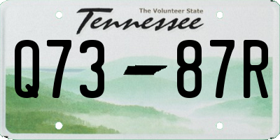 TN license plate Q7387R
