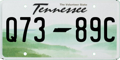 TN license plate Q7389C