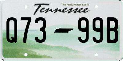 TN license plate Q7399B