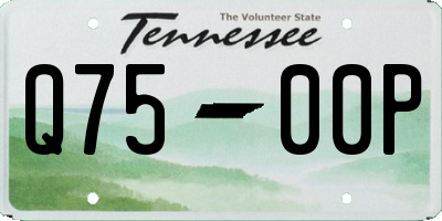 TN license plate Q7500P