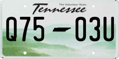 TN license plate Q7503U