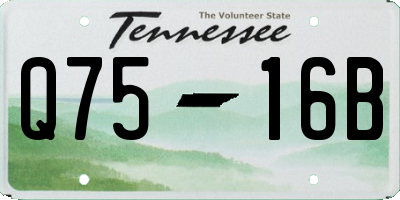 TN license plate Q7516B