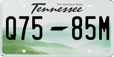 TN license plate Q7585M