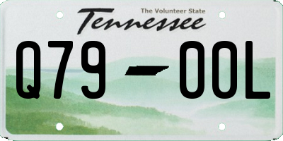 TN license plate Q7900L