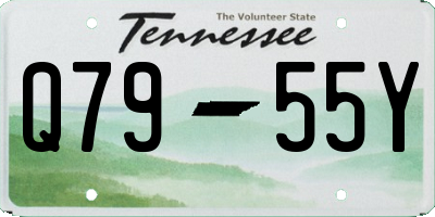 TN license plate Q7955Y
