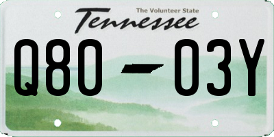 TN license plate Q8003Y