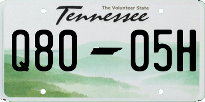 TN license plate Q8005H