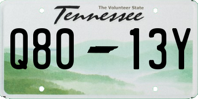 TN license plate Q8013Y