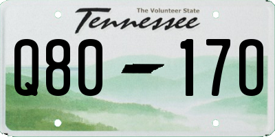 TN license plate Q8017O