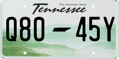 TN license plate Q8045Y