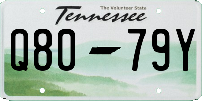 TN license plate Q8079Y