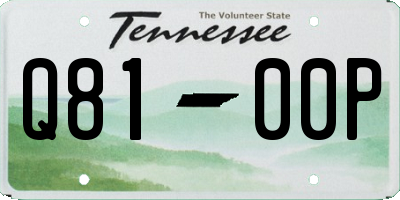 TN license plate Q8100P