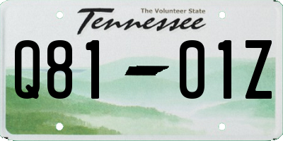 TN license plate Q8101Z