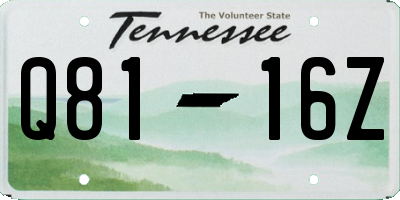 TN license plate Q8116Z