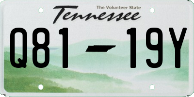 TN license plate Q8119Y