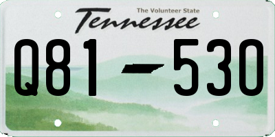 TN license plate Q8153O