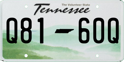 TN license plate Q8160Q
