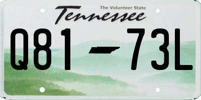 TN license plate Q8173L