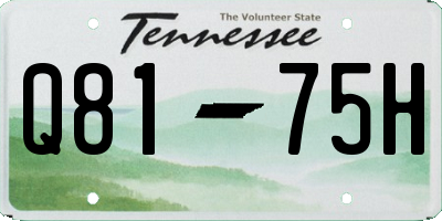 TN license plate Q8175H