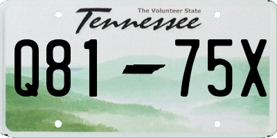 TN license plate Q8175X