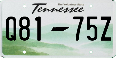 TN license plate Q8175Z