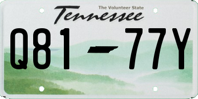 TN license plate Q8177Y