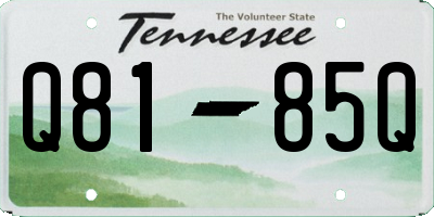 TN license plate Q8185Q