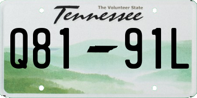 TN license plate Q8191L