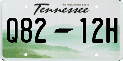 TN license plate Q8212H