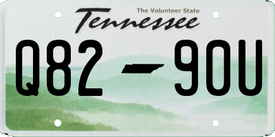 TN license plate Q8290U