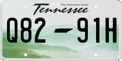 TN license plate Q8291H