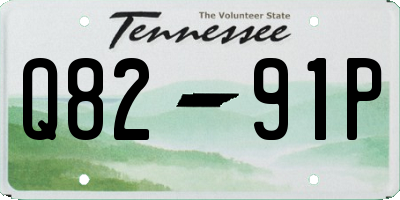 TN license plate Q8291P
