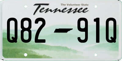 TN license plate Q8291Q