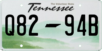 TN license plate Q8294B