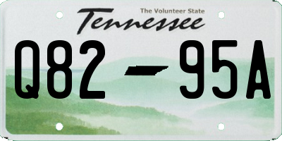 TN license plate Q8295A