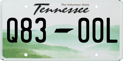 TN license plate Q8300L