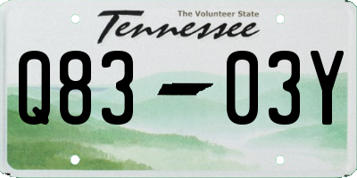 TN license plate Q8303Y