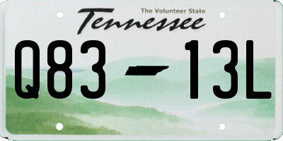 TN license plate Q8313L