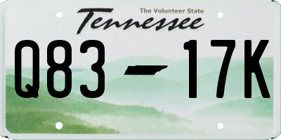 TN license plate Q8317K