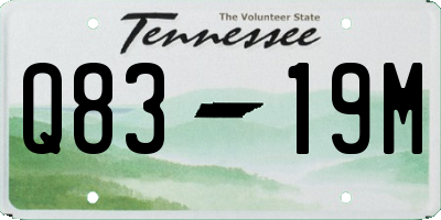 TN license plate Q8319M