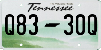TN license plate Q8330Q
