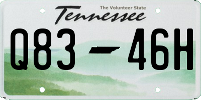 TN license plate Q8346H
