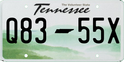 TN license plate Q8355X