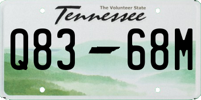 TN license plate Q8368M