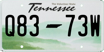 TN license plate Q8373W