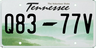 TN license plate Q8377V
