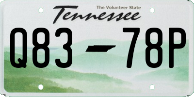 TN license plate Q8378P