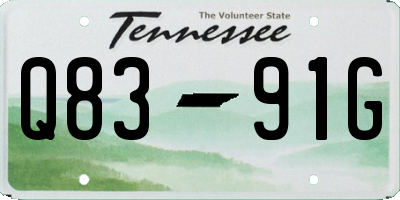 TN license plate Q8391G