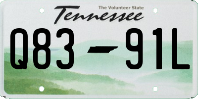 TN license plate Q8391L
