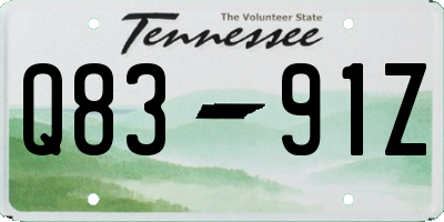 TN license plate Q8391Z